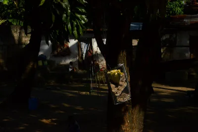 DSC_8433 (Large).JPG